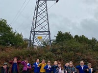 Now or never: SSE gives Waverley Abbey School pylons ultimatum