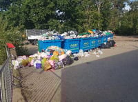 Council: Help is coming to Frensham Great Pond