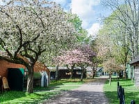 Tilford museum to host Surrey Hills Spring Festival this weekend