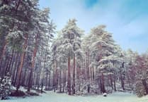 Residents fear being driven howling mad by werewolf film production