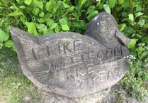Are wooden ducks to blame for Kings Pond rat problem?