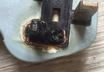 Family warning of dishwasher danger