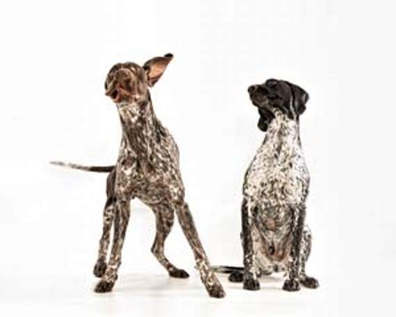 •This portrait of two German Pointers won Tracy Clements the Award of Excellence.