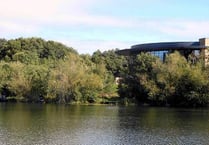 Helping plug the Forest’s brain drain