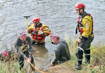 Swimmers take plunge for SARA