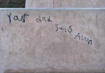 Skate park graffiti vandals caught on CCTV