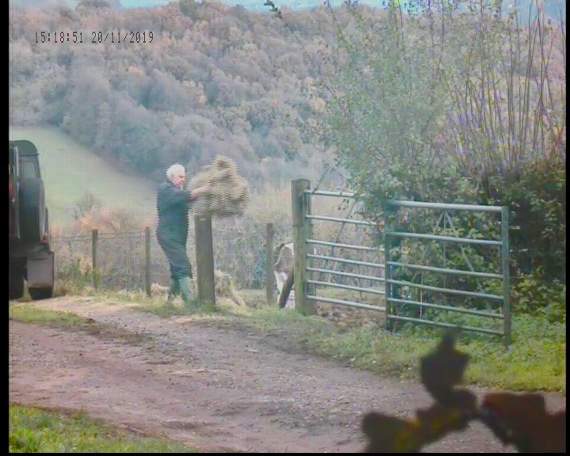 Keith Barber, 71, was caught feeding cattle in Mitcheldean.
