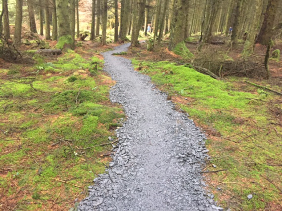 Work that has taken place to create new cycle trails at Archallagan Plantation