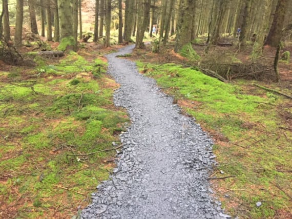 Work that has taken place to create new cycle trails at Archallagan Plantation