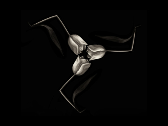 â??Truelips of Manâ?? by Nigel Owen was awarded Best Monochrome Print in the IOMPS 2017 Annual Competition