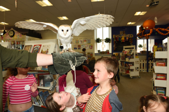 Owls from the Wildlife Park visit the Family Library in Douglas - Keiran Horwell-Jones (7) meets Pepsi the barn owl