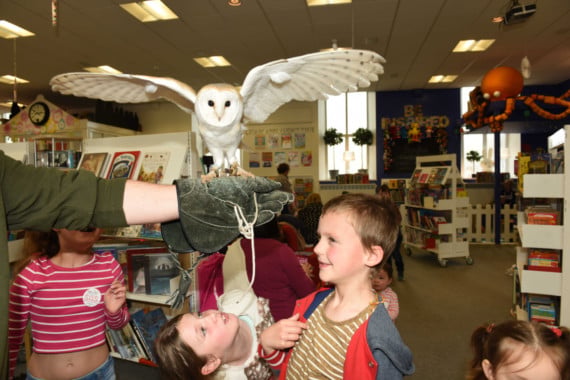 Owls from the Wildlife Park visit the Family Library in Douglas - Keiran Horwell-Jones (7) meets Pepsi the barn owl