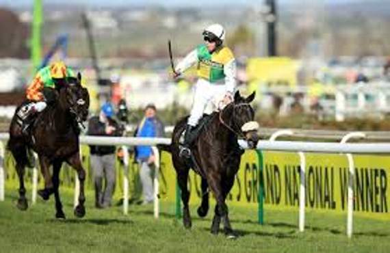 Many Clouds winning the Grand National