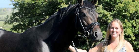 Carly with her young stallion Toremo, whose father is former world number one dressage horse, Totilas
