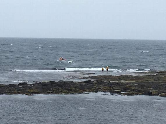 Pictures of the rescue by Kirsty Pendlebury