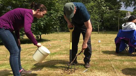 Worm charming at Maughold