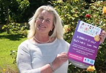Event gives disabled chance to experience a festival in safety