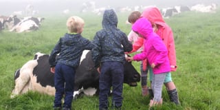 Young minds get glimpse behind technology used in dairy farming