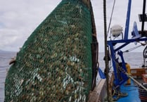 There is not enough data to justify queenie cuts says fishermen's group
