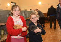 Manx cat and call duck among show winners