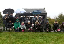 Tails wag at gathering of island's schnauzers