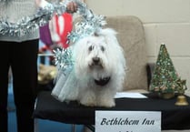 Dogtivity: Bark the herald canines sing in this novel nativity