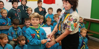Scouts' badges for commitment to the environment