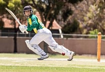 Cricket: Burrows makes his mark in Australia