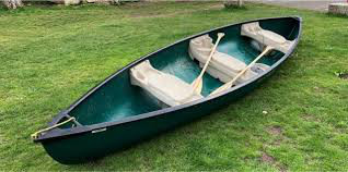 Two canoes stolen in one day