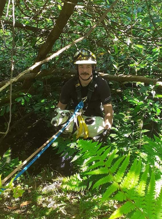 Dre is rescued from the ravine