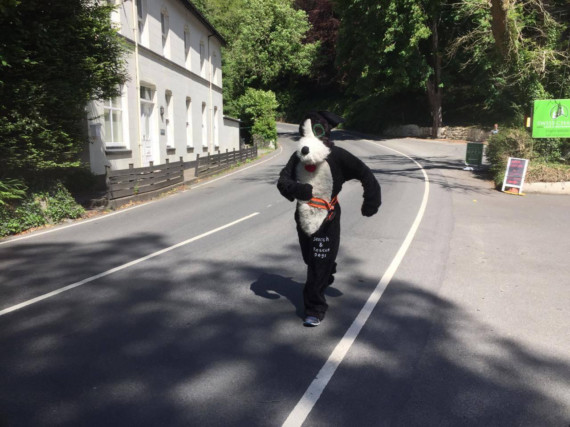 Manxie the Dog pictured in Glen Helen
