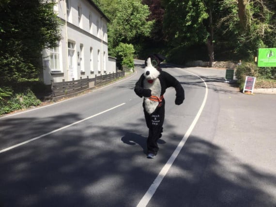 Manxie the Dog pictured in Glen Helen