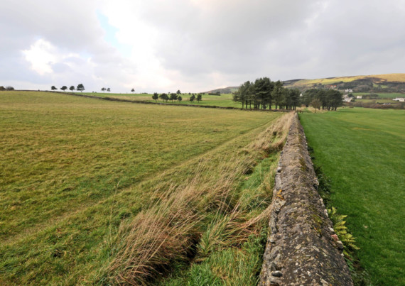 The proposed site for a 'glamping' facility in Port Erin, in a field adjoining the Ballakilley estate, Rowany Golf Club and Ballafesson Road -