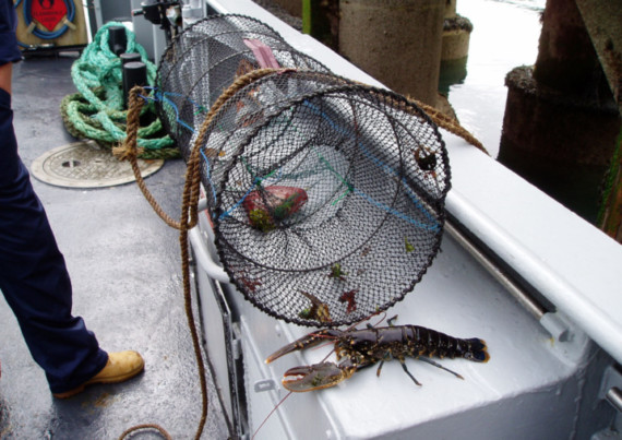 A seized lobster pot on HPV Barrule