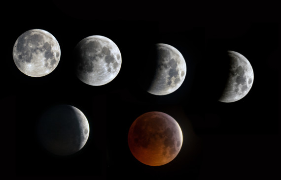 'Lunar Eclipse January 2019' by Chris Blyth