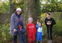 Brownies plant seeds and bulbs