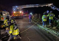 Multi-agency emergency response rescue dog and owner from cliff
