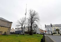 Stop the spread of masts