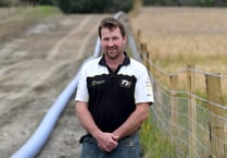 Farmers crop early and move livestock for pipe