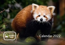 Calendar launched to support wildlife park