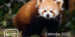 Calendar launched to support wildlife park