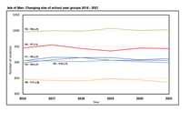 Barely any change in demographics of 2020 school years