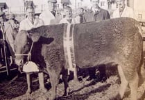 Livestock  market  chalks up landmark  show