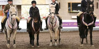 50 Shades of Neigh and South Devon Minions are team showjumping winners