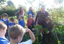 Hennock pupils' outdoor learning experience down on the farm