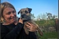 Pup rescued from quarry