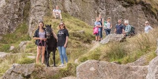 Dartmoor end for travellers’ epic road trip