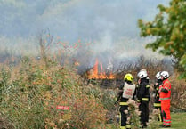 Reed beds blaze on Teign - five acres affected