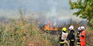 Reed beds blaze on Teign - five acres affected