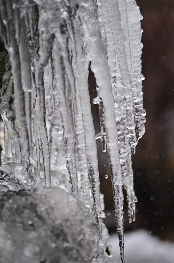 Ice to see you - to see you ice.
